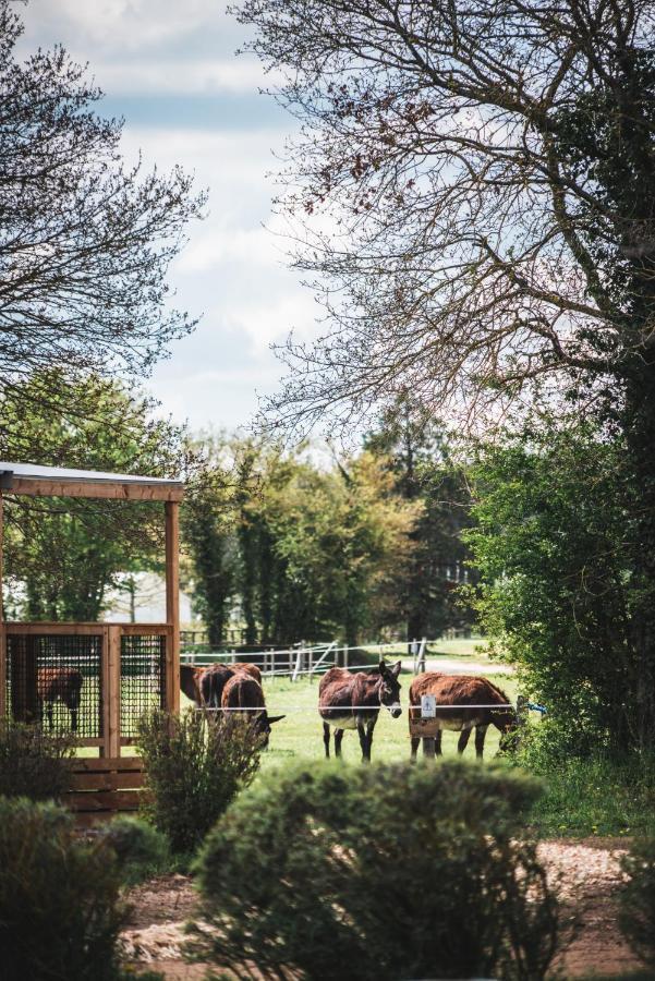 Le Village De Cottages - Le Pole Du Cheval Et De L'Ane Lignières Exterior foto